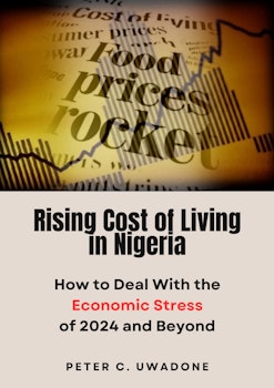 Rising Cost of Living in Nigeria: How to Deal With the Economic Stress of 2024 and Beyond